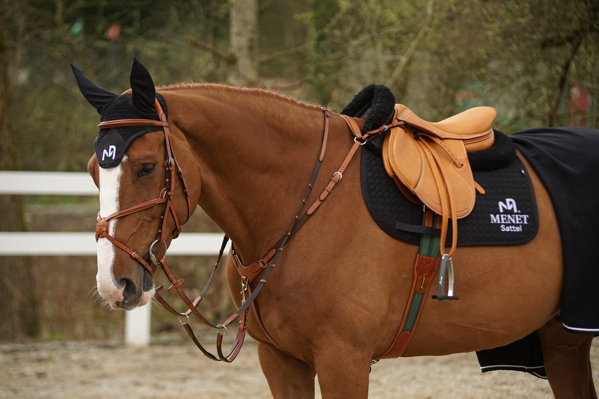 Vorderzeug NM - Breastplate NM 2