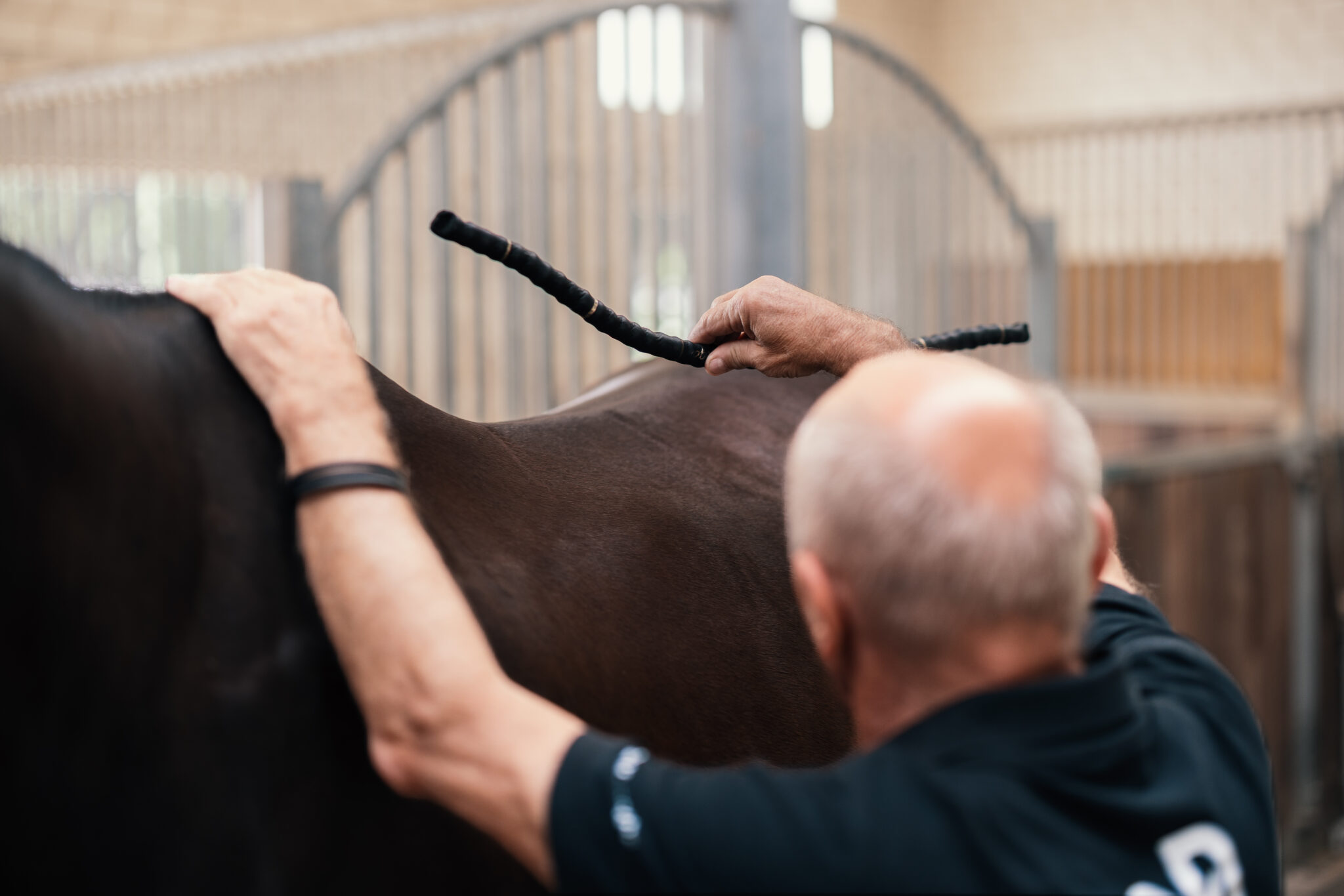 Peter_Menet-4636-scaled